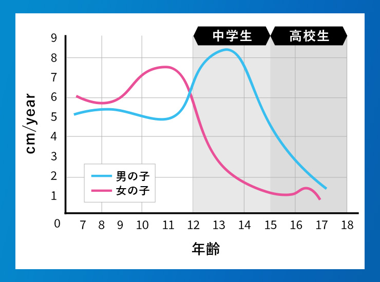 成長期のグラフ